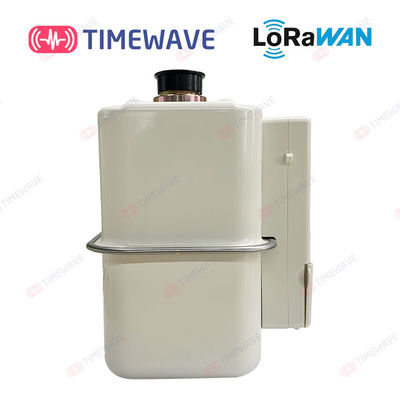 Wireless LoRaWAN Gas Meter IoT Smart Prepaid Electricity Meters For Tenants​ Home