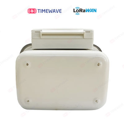 Low Pressure Loss Gas Meter Based LoRaWAN Module with Data Rate Wall Mount